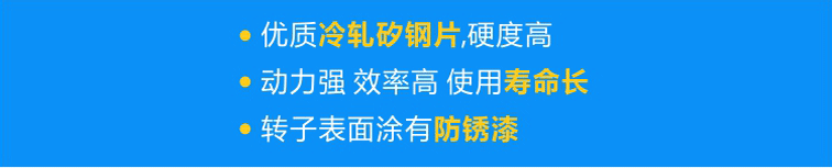 使用優(yōu)質(zhì)冷軋矽鋼片，硬度高；轉(zhuǎn)子經(jīng)高頻淬火，動力強(qiáng) 效率高 壽命長；轉(zhuǎn)子表面涂有防銹漆，更耐用！